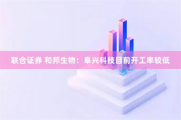 联合证券 和邦生物：阜兴科技目前开工率较低