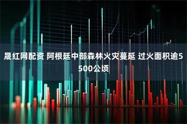 晟红网配资 阿根廷中部森林火灾蔓延 过火面积逾5500公顷